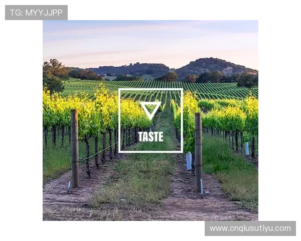 亚博体育网站客户服务体系完善,全天候在线支持解决用户各种疑问 亚博体育网站客户服务体系完善,全天候在线支持解决用户各种疑问