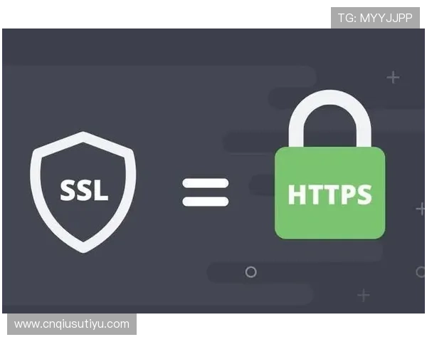 开云Kaiyun的网址如何安全登录及常见访问错误解决方案