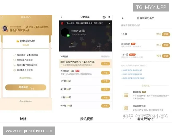 开云娱乐官网VIP会员权益全面解析提升您的专属尊享体验 开云娱乐官网VIP会员权益全面解析提升您的专属尊享体验