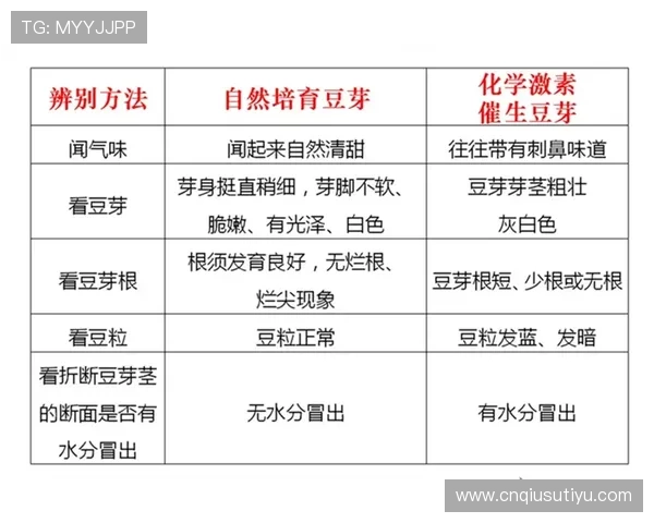2026年BC体育开盘登录渠道全攻略,确保每位用户都能快速安全登录体验 2026年BC体育开盘登录渠道全攻略,确保每位用户都能快速安全登录体验