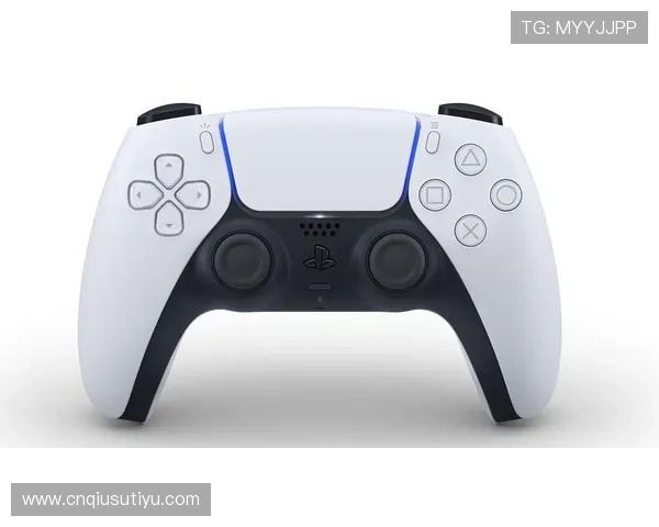 半岛体育平台如何利用数据分析提升用户观看体验和互动