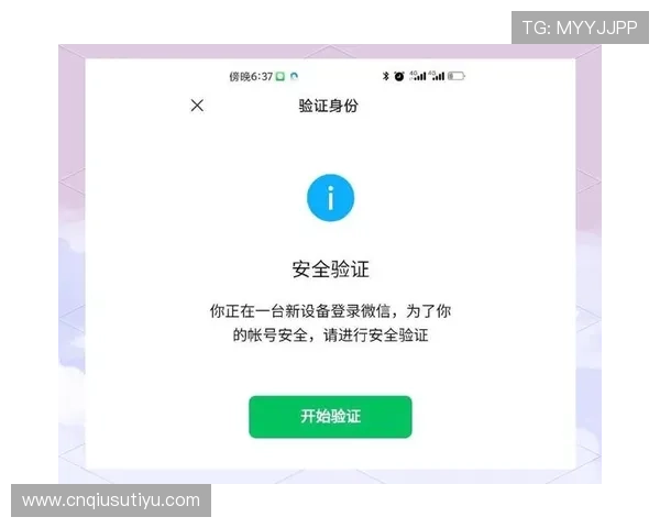 IM电竞手机版会员登录安全指南保障账号信息安全有效防止账号被盗风险