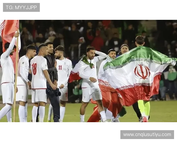 世界杯伊朗VS埃及比赛中VAR技术的具体操作流程与争议点解析